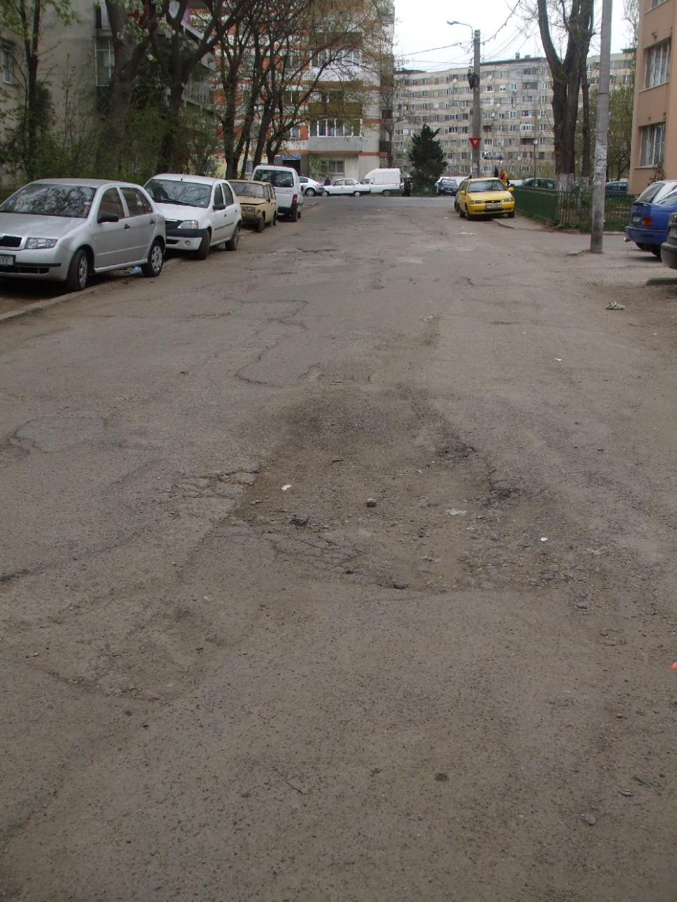 Strada Garoafei din Bucureşti, drum de ţară în capitală europeană 92917