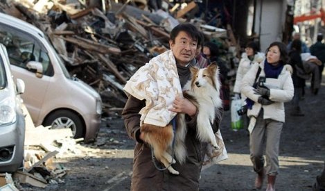 Animale moarte, abandonate şi înfometate lângă centrala Fukushima