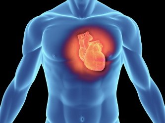 Cercetătorii britanicii au descoperit cum să regenereze inima după infarct