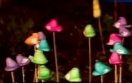 Glumă de Paşte: Un american şi-a găsit grădina umplută cu 900 de acadele în formă de iepuraş