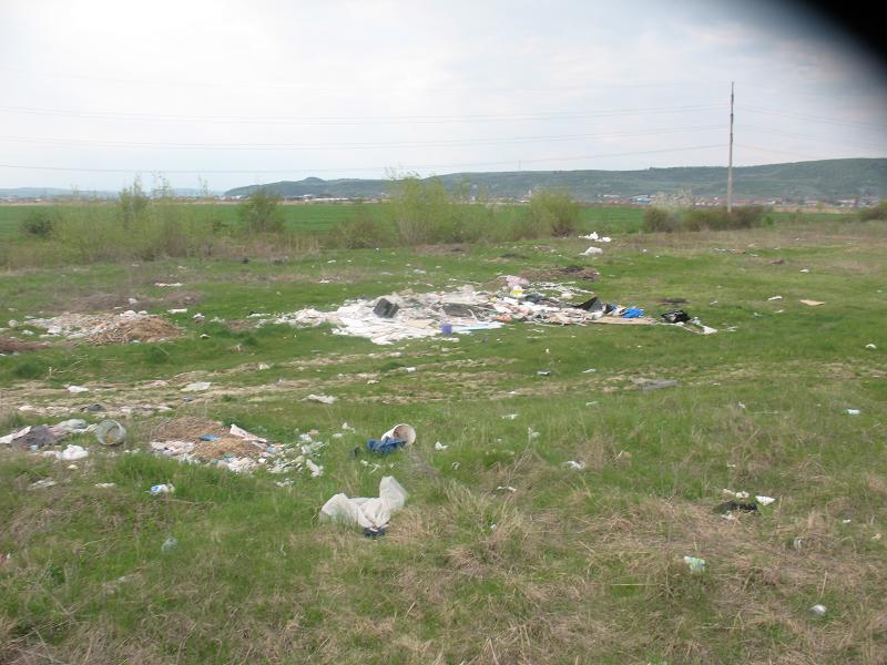 Râul Argeş, acoperit de gunoaie, ignorat de autorităţile statului 93771