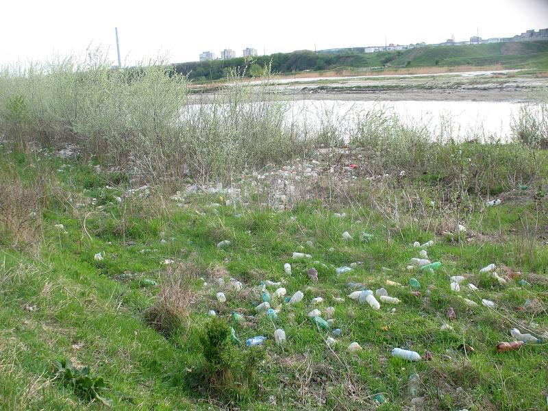 Râul Argeş, acoperit de gunoaie, ignorat de autorităţile statului 93773