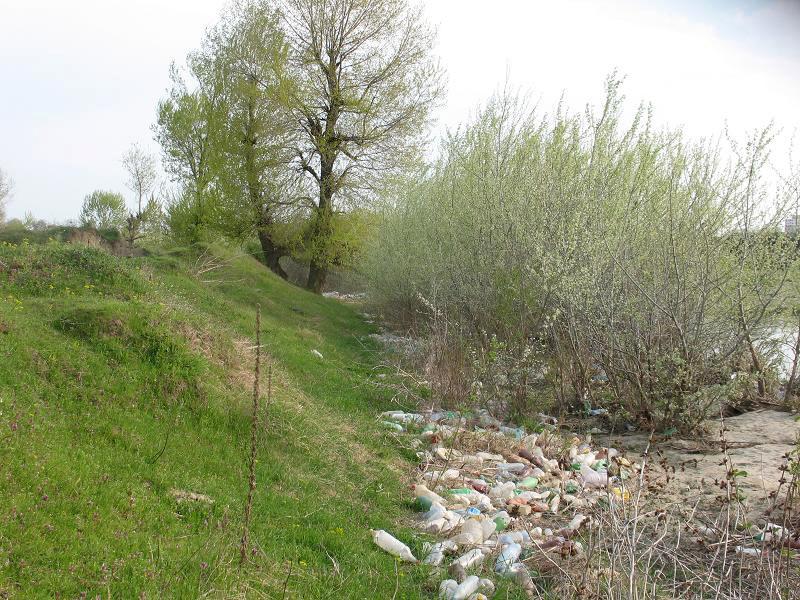Râul Argeş, acoperit de gunoaie, ignorat de autorităţile statului 93774