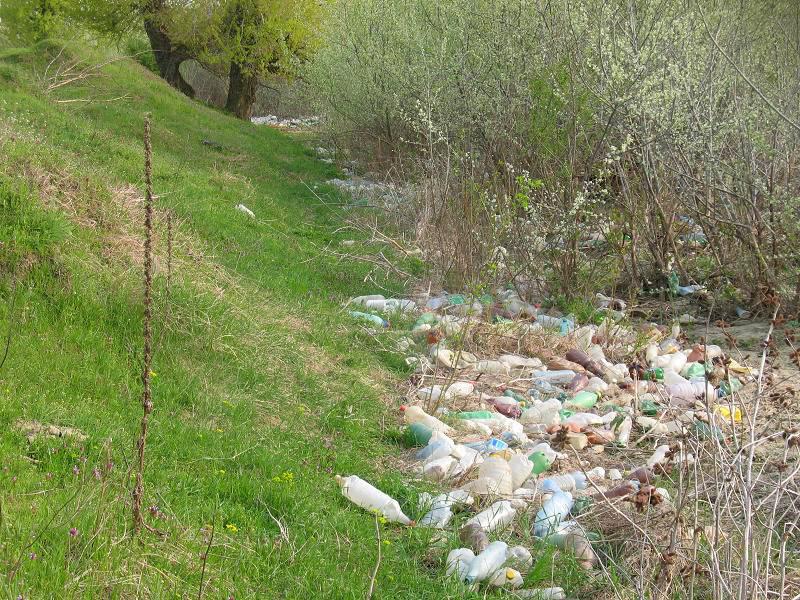 Râul Argeş, acoperit de gunoaie, ignorat de autorităţile statului 93775