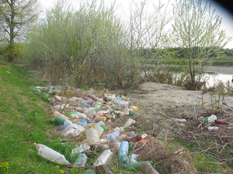 Râul Argeş, acoperit de gunoaie, ignorat de autorităţile statului 93776