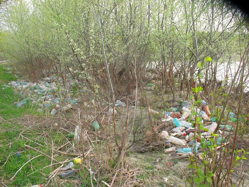 Râul Argeş, acoperit de gunoaie, ignorat de autorităţile statului 93777