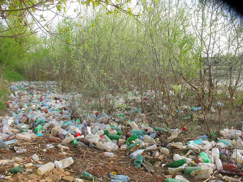 Râul Argeş, acoperit de gunoaie, ignorat de autorităţile statului 93778