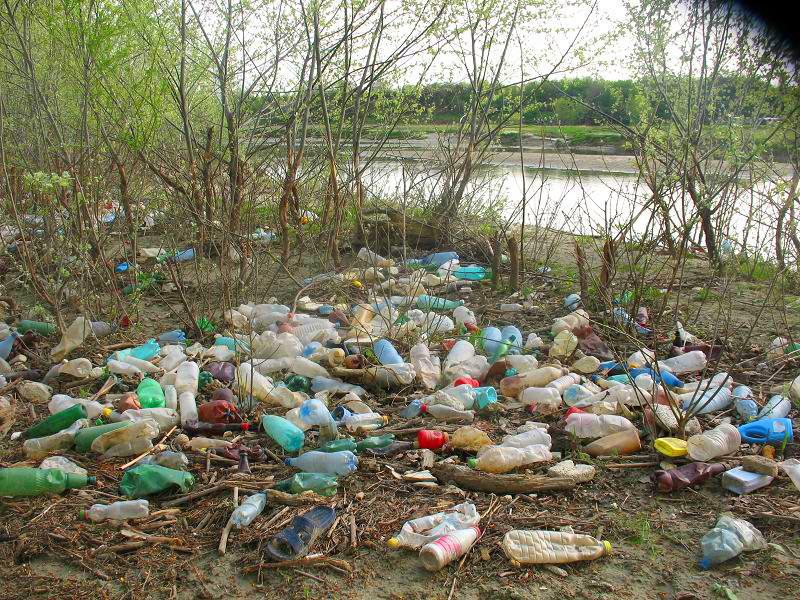 Râul Argeş, acoperit de gunoaie, ignorat de autorităţile statului 93779