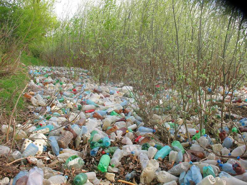 Râul Argeş, acoperit de gunoaie, ignorat de autorităţile statului 93780