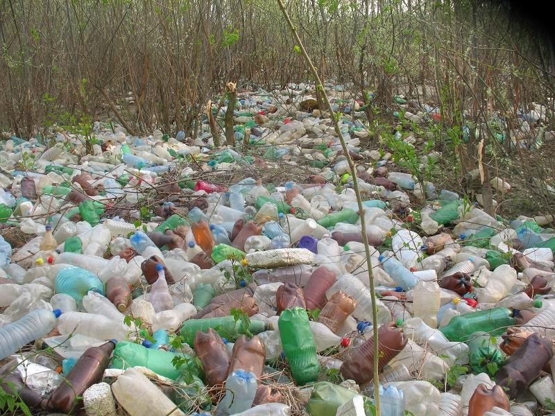 Râul Argeş, acoperit de gunoaie, ignorat de autorităţile statului 93781