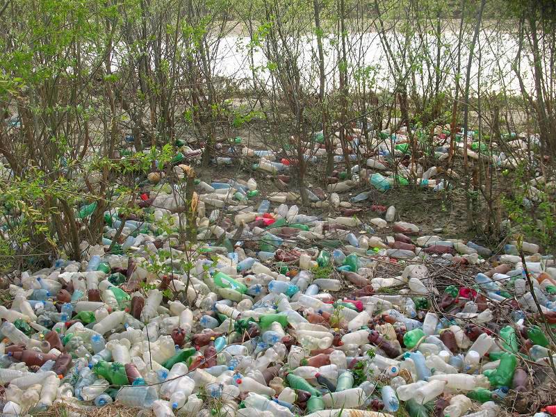 Râul Argeş, acoperit de gunoaie, ignorat de autorităţile statului 93782