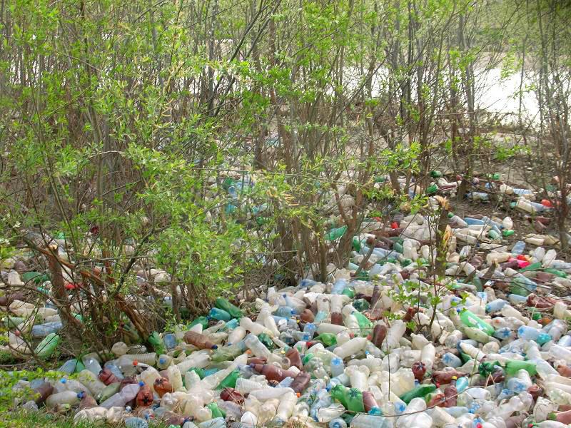 Râul Argeş, acoperit de gunoaie, ignorat de autorităţile statului 93783