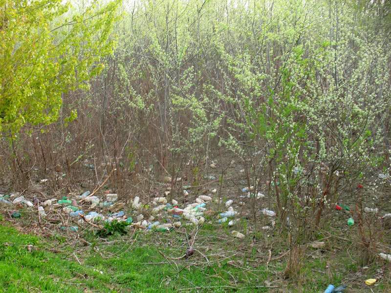 Râul Argeş, acoperit de gunoaie, ignorat de autorităţile statului 93784