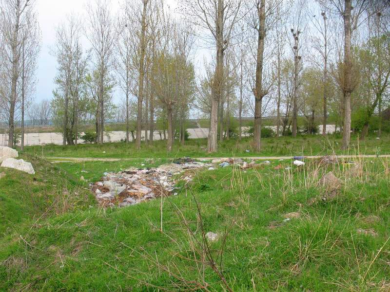 Râul Argeş, acoperit de gunoaie, ignorat de autorităţile statului 93785