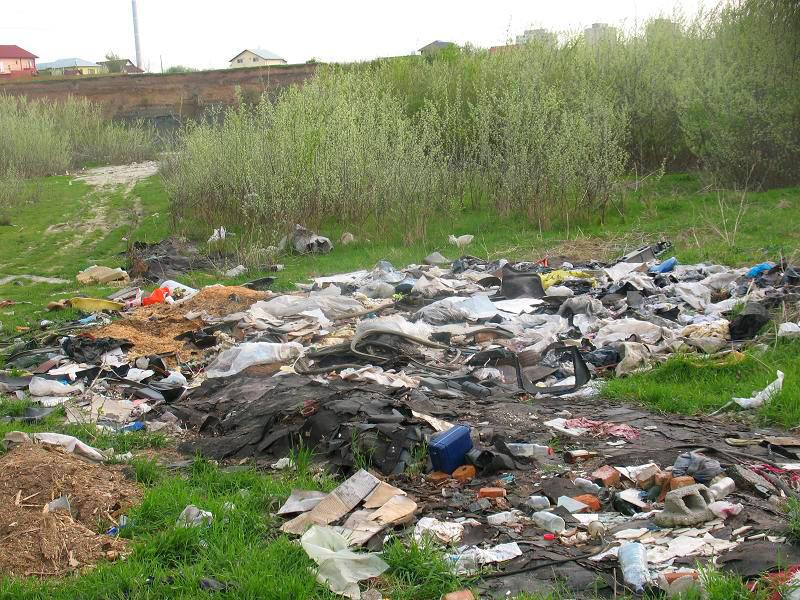 Râul Argeş, acoperit de gunoaie, ignorat de autorităţile statului 93786