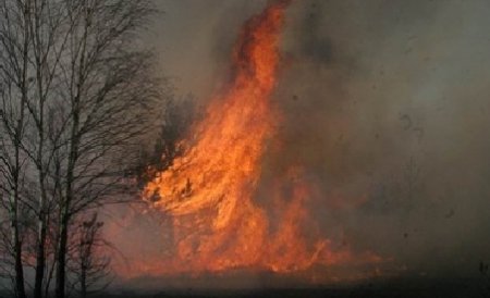 Un incendiu de vegetaţie, la un pas de a distruge gara din Baia Mare
