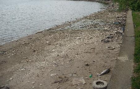 Lacul Pantelimon, raiul deşeurilor şi al peştilor morţi 94287