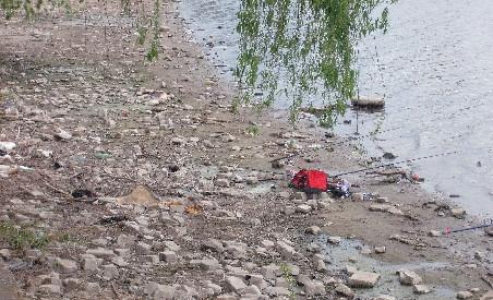 Lacul Pantelimon, raiul deşeurilor şi al peştilor morţi 94294