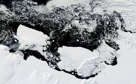 Wikileaks: Resursele naturale de sub Calota Arctică, aspiraţia marilor puteri ale lumii