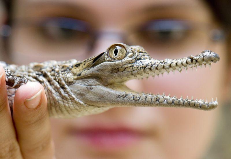 Săptămâna în imagini – Disperare, mister şi strălucire  95412