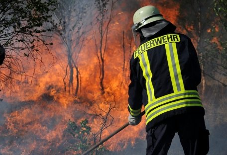 Peste 100.000 de hectare din regiunea Alberta, Canada, distruse de incendii puternice 