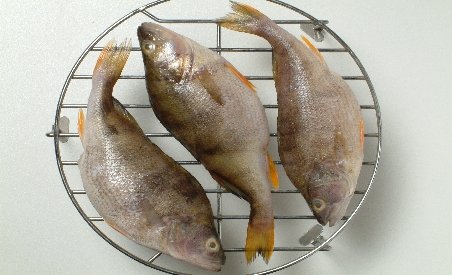 Zeci de kilograme de peşte cu un virus mortal, confiscate de OPC din magazinele braşovene