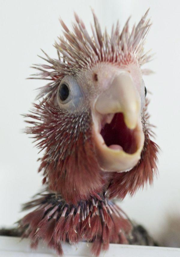 Săptămâna în imagini 96136