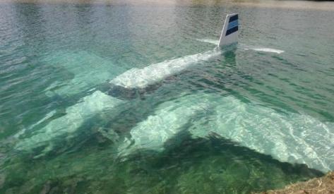 Avionul dictatorului comunist Jivkov, scufundat în apele Mării Negre
