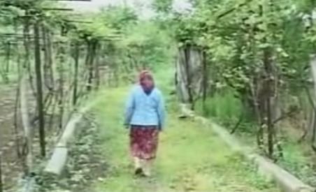 O bătrână din Valea Jiului trăieşte cu 340 lei pe lună