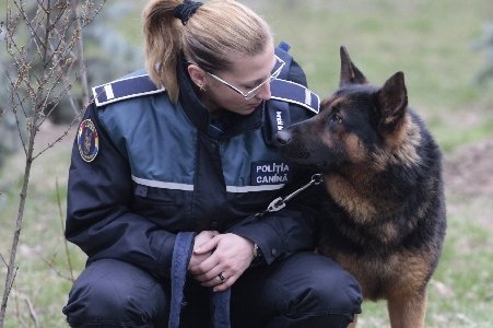 Nouă înfăţişare în instanţă, în procesul dintre Poliţia Română şi Poliţia Animalelor