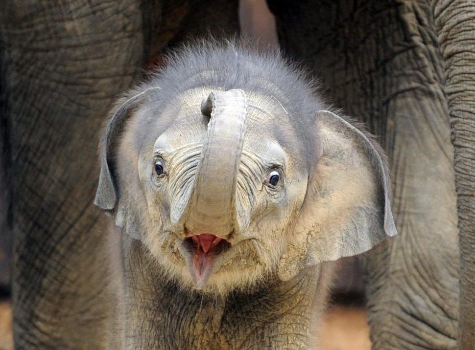 Săptămâna în imagini: E.coli, muzică, violenţă şi artă 97470