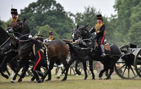 Un cal a fost eutanasiat chiar în timpul unei ceremonii pentru regina Marii Britanii 97559