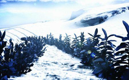 Cum va arăta lumea peste 100 de ani? 97815