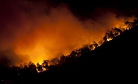 Incendii puternice în Siberia. Mai mult de 26 de hectare dintr-o pădure au fost mistuite