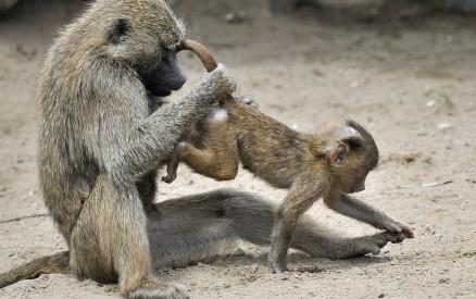 Săptămâna în imagini - fenomene meteo spectaculoase, operaţii rare, sărăcie 98259