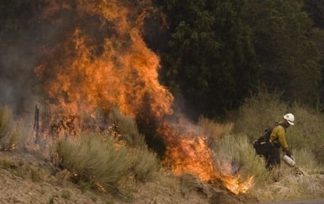 Incendiul din Arizona ar putea deveni cel mai grav din istoria statului