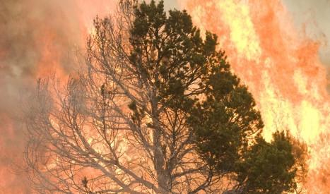 Incendiul din Arizona ar putea deveni cel mai grav din istoria statului 98312