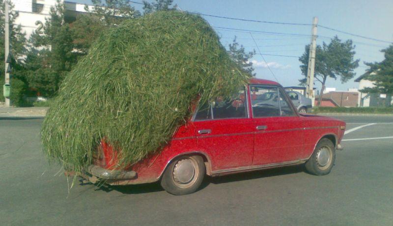 Top 10 al celor mai interesante fotografii trimise de utilizatorii Videonews.ro 98488