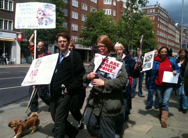 Top 10 al celor mai interesante fotografii trimise de utilizatorii Videonews.ro 98491