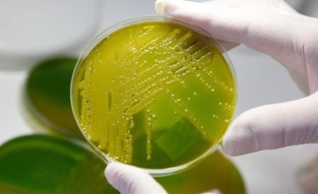 E.coli se răspândeşte. Şase copii din Franţa au ajuns la spital după ce au fost infectaţi