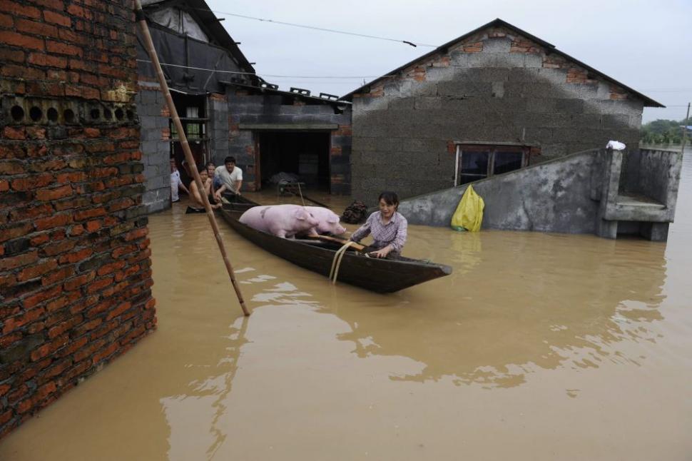 Inundaţiile din estul Chinei au cauzat pagube în valoare de 1,2 miliarde de dolari 99071