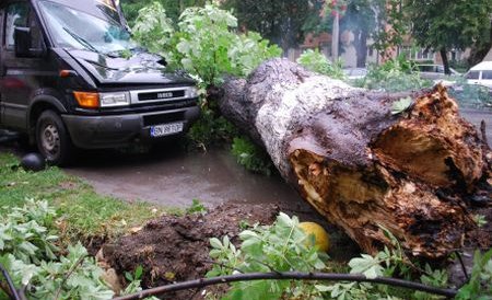 Cluj. Cinci localităţi fără curent şi două maşini avariate, după o furtună