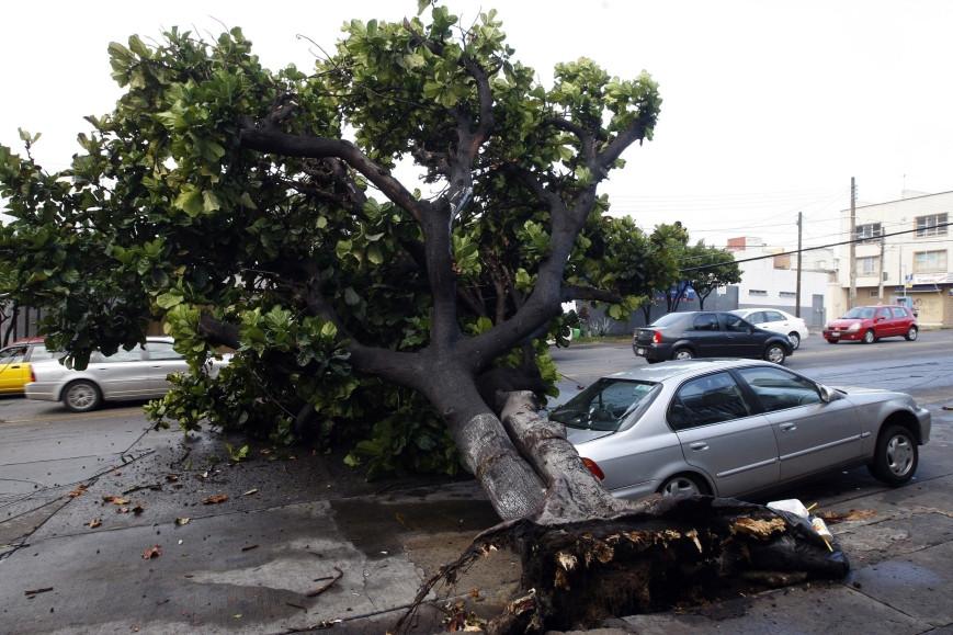 Cel puţin 11 morţi şi 300.000 de sinistraţi, în urma furtunii Arlene din Mexic 100247
