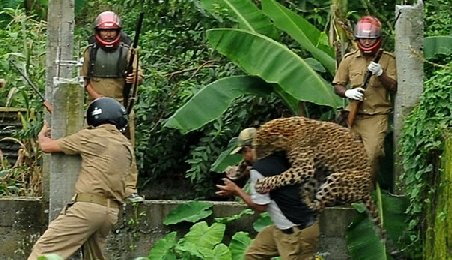 Imagini şocante. Un leopard, fotografiat în timp ce sărea la gâtul unui bărbat
