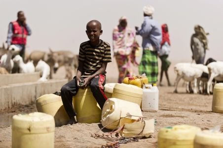 ONU organizează o conferință de urgență pe tema foametei din Somalia