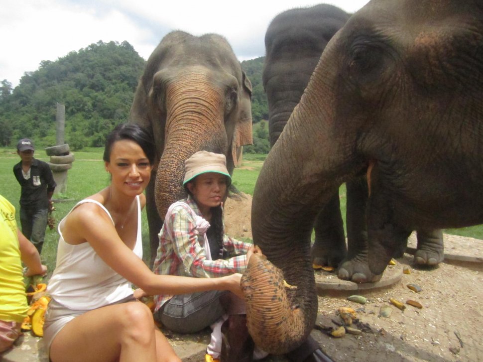 Andreea Raicu a hrănit şi spălat elefanţi în Thailanda