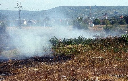 Vaslui. Un incendiu de proporţii a distrus peste 90 de hectare de mirişte