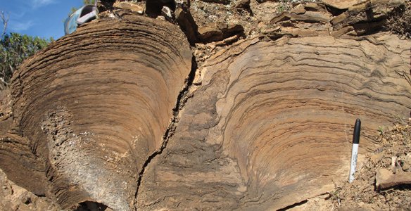Cele mai vechi fosile din lume, descoperite în Australia