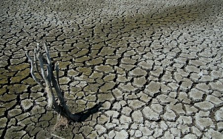 Revista presei - 2 septembrie: Criza apei, dezastrul care va lovi planeta. Apa va fi mai valoroasă decât petrolul
