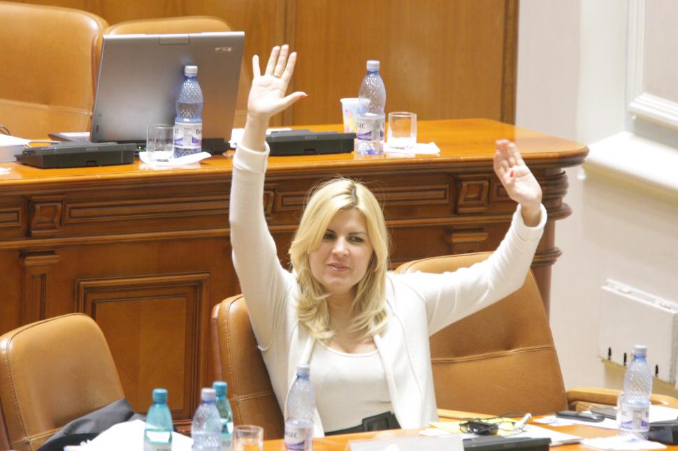 Un tânăr, despre Udrea: Este o persoană &quot;very beautiful&quot;. Vezi o galerie foto inedită cu ministrul 106304